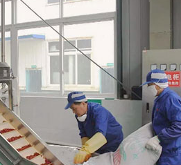 重慶最有名的火鍋底料為何味道好，這幾方面是關(guān)鍵！